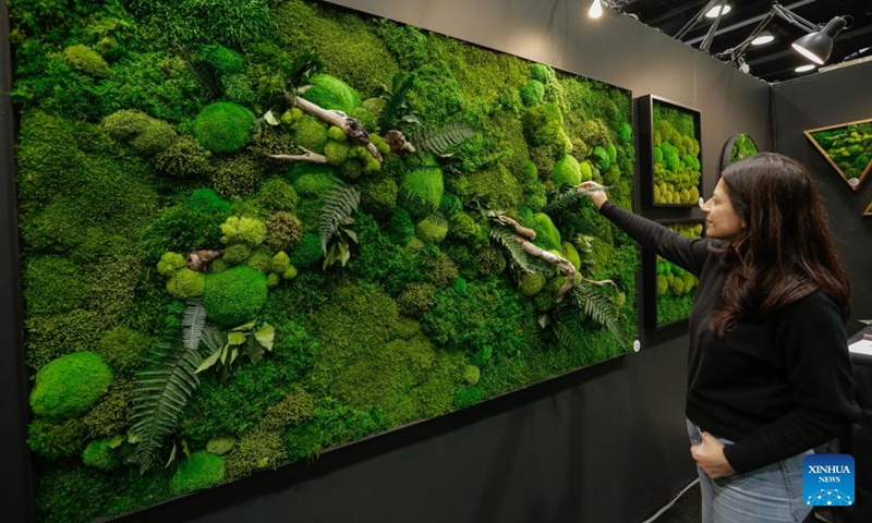 A moss wall installation is on display during the Vancouver Fall Home Show 2024 at the Vancouver Convention Centre, in Vancouver, British Columbia, Canada, October 24, 2024. The four-day event kicked off on Thursday, with more than 300 exhibitors showcasing their latest products and services. (Photo: Xinhua)