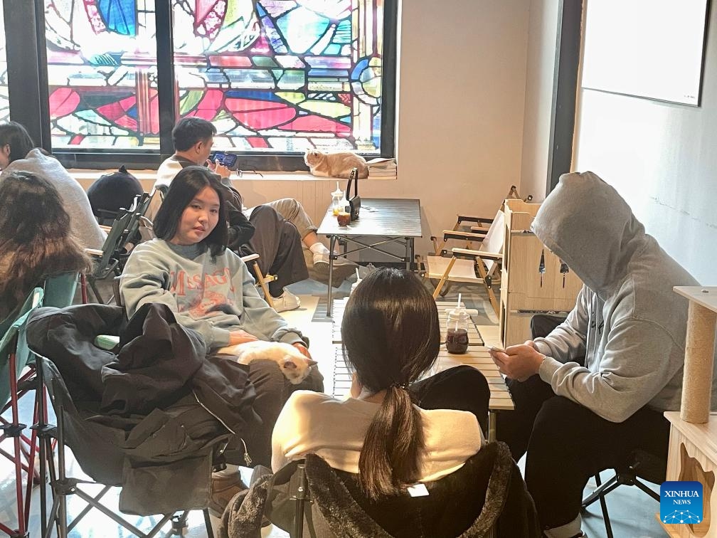 Kwak Nakyung (1st L), holding a feline named Nainai, chats with friends at a stray cat cafe named Paw Infinity in Beijing, capital of China, Oct. 19, 2024. (Photo: Xinhua)