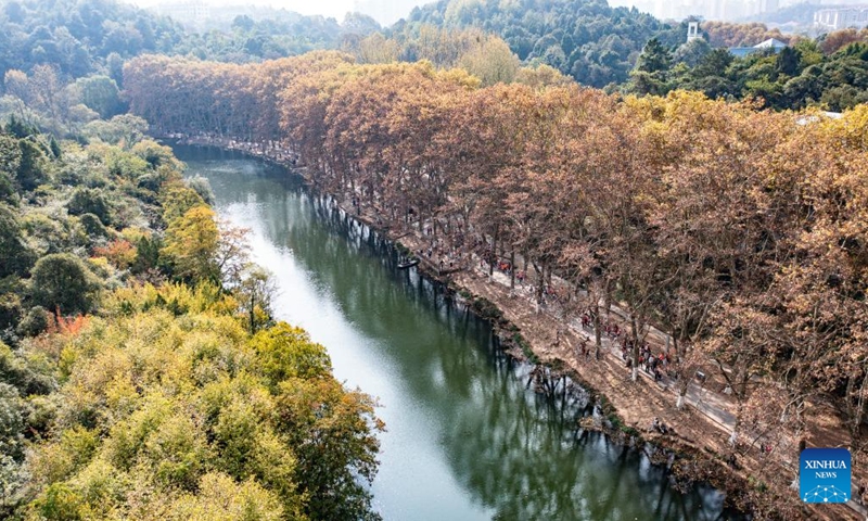 An aerial drone photo taken on Oct. 27, 2024 shows the scenery of Huaxi National Urban Wetland Park in Guiyang, capital of southwest China's Guizhou Province. (Photo: Xinhua)