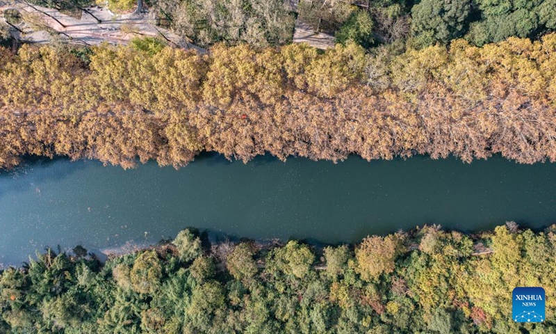 An aerial drone photo taken on Oct. 27, 2024 shows the scenery of Huaxi National Urban Wetland Park in Guiyang, capital of southwest China's Guizhou Province. (Photo: Xinhua)