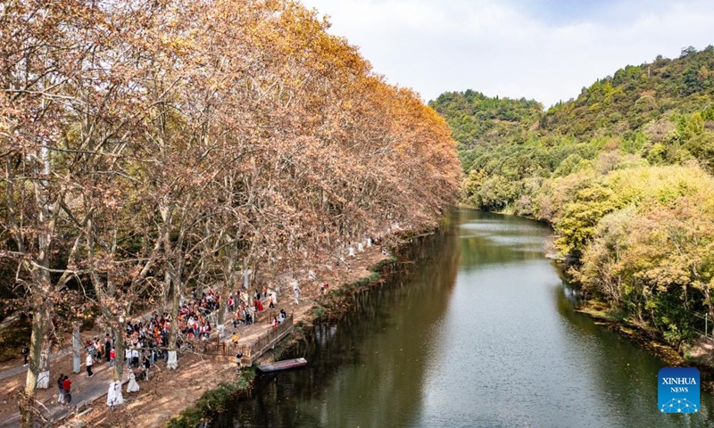 An aerial drone photo taken on Oct. 27, 2024 shows the scenery of Huaxi National Urban Wetland Park in Guiyang, capital of southwest China's Guizhou Province. (Photo: Xinhua)