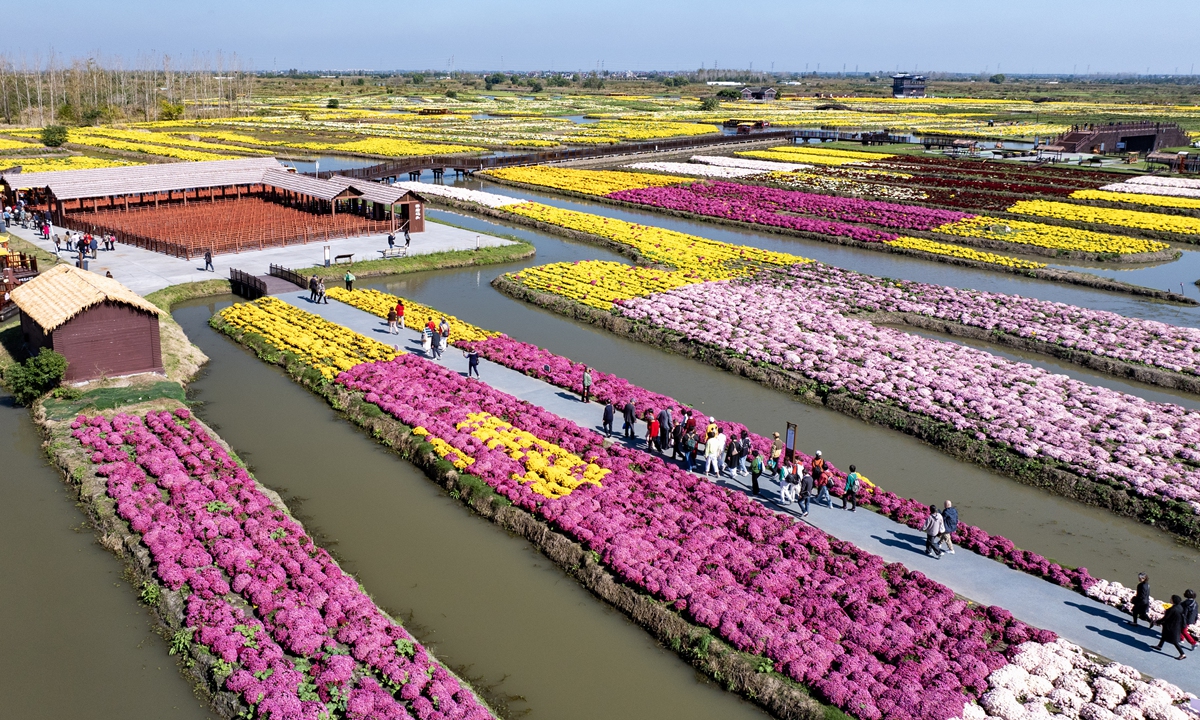 Visitors enjoy chrysanthemums at the Qianduo Scenic Area in Xinghua, East China's Jiangsu Province, on October 29, 2024. In recent years, Xinghua has utilized the model of 