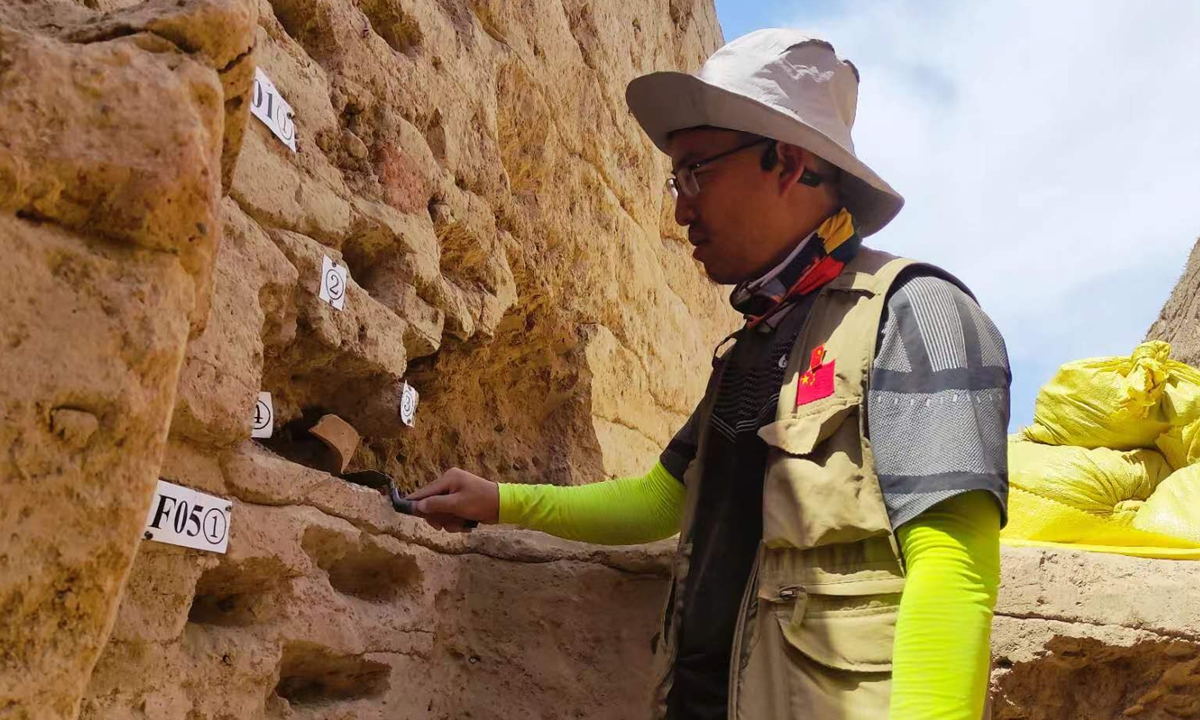 Tang Yunpeng collects samples at the joint archaeological site in Uzbekistan. Photo: Courtesy of Tang Yunpeng