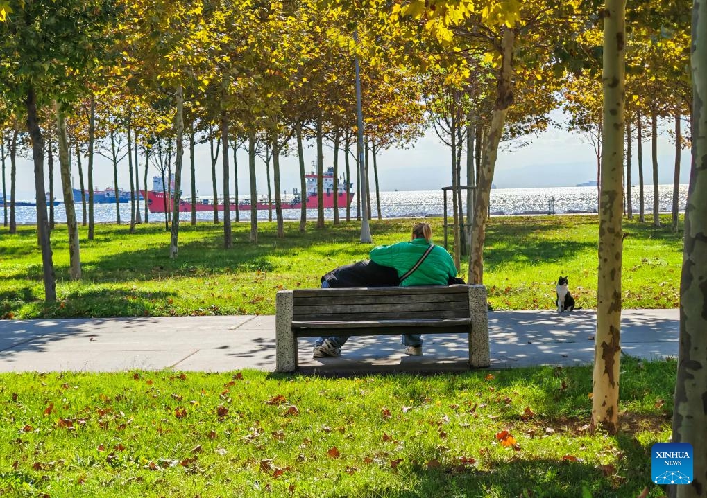 This photo taken with a mobile phone shows people resting on the coast of Marmara Sea in Istanbul, Türkiye, Oct. 20, 2024. (Photo: Xinhua)