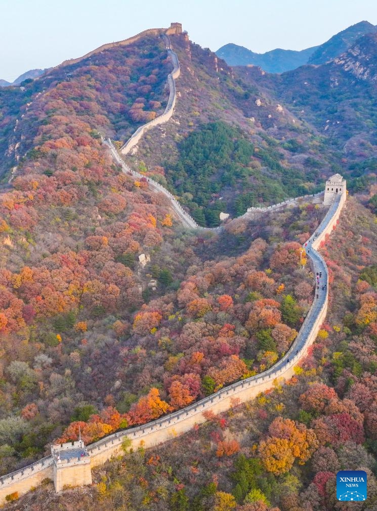 A drone photo taken on Oct. 29, 2024 shows a morning view of the Badaling section of the Great Wall in Beijing, capital of China. (Photo: Xinhua)