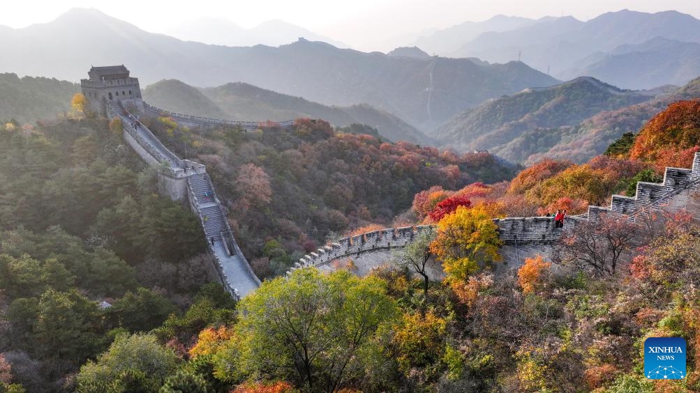 A panoramic drone photo taken on Oct. 29, 2024 shows a morning view of the Badaling section of the Great Wall in Beijing, capital of China. (Photo: Xinhua)