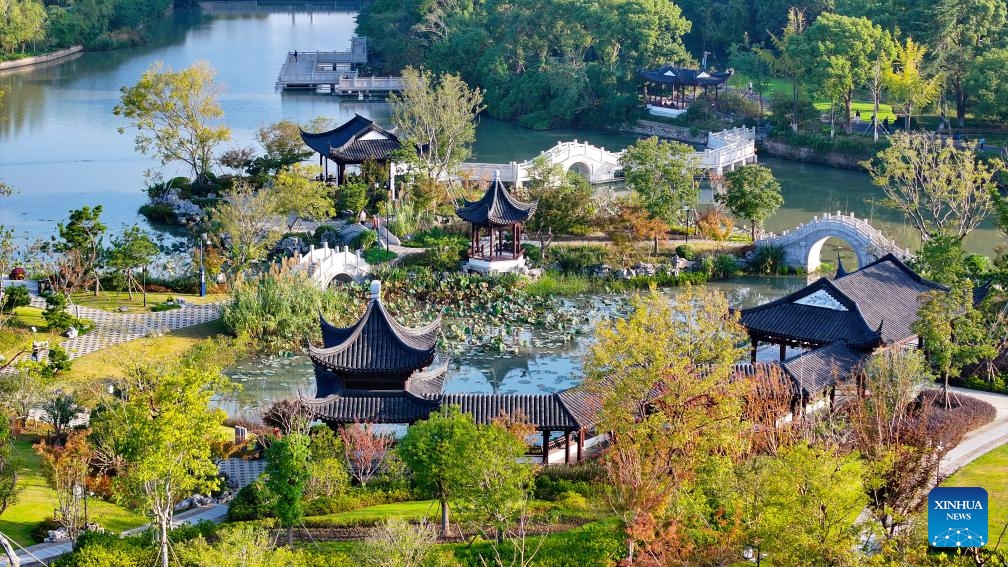 An aerial drone photo taken on Oct. 31, 2024 shows the autumn scenery at a park in Kunshan, east China's Jiangsu Province. (Photo: Xinhua)