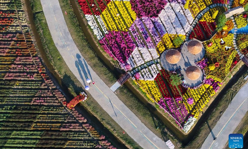 An aerial drone photo taken on Oct. 30, 2024 shows tourists enjoying blooming chrysanthemum flowers at a scenic spot in Yangma Town of Yancheng City, east China's Jiangsu Province. (Photo: Xinhua)