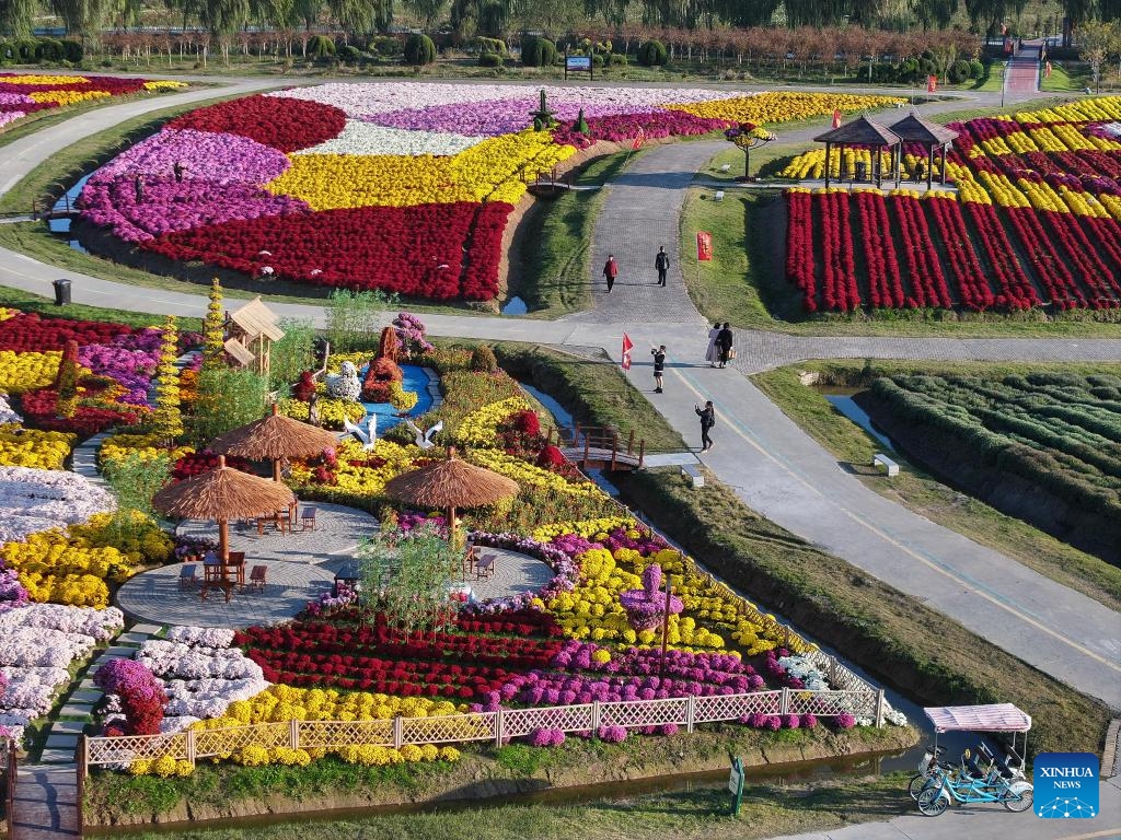 A drone photo taken on Oct. 30, 2024 shows tourists enjoying blooming chrysanthemum flowers at a scenic spot in Yangma Town of Yancheng City, east China's Jiangsu Province. (Photo: Xinhua)