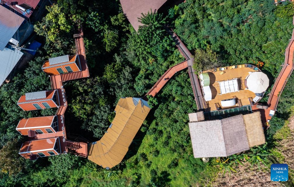 An aerial drone photo taken on Oct. 30, 2024 shows a view of the Qiao'an coffee plantation in the Dai-Lahu-Va Autonomous County of Menglian, Pu'er City of southwest China's Yunnan Province. Pu'er City is the largest coffee-producing area in China. Through the layout of the whole industrial chain, coffee plantations play a significant role and inject new vitality into the high-quality development of local coffee industry. (Photo: Xinhua)