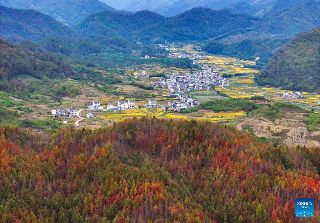 An aerial drone photo taken on Oct. 31, 2024 shows the autumn scenery in Shexian County of Huangshan City, east China's Anhui Province. (Photo: Xinhua)