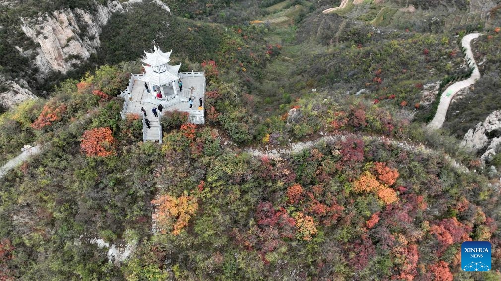 This aerial drone photo taken on Oct. 30, 2024 shows the autumn scenery of Jiguan Mountain scenic area in Shahe City, north China's Hebei Province. The Jiguan Mountain has entered its peak viewing season, drawing tourists to explore its beauty. (Photo: Xinhua)