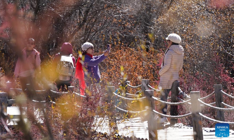 Tourists pose for photos at the Yading scenic spot in Daocheng County of Tibetan Autonomous Prefecture of Garze, southwest China's Sichuan Province, Oct. 31, 2024. (Photo: Xinhua)