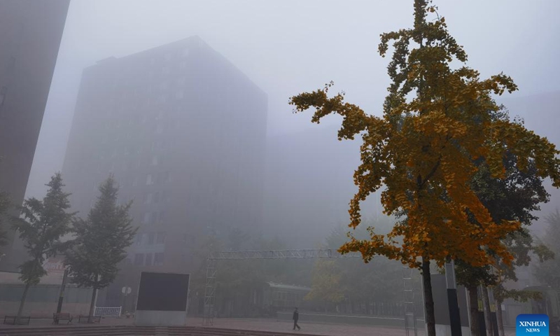 A man walks at a residential area amid fog in Beijing, capital of China, Nov. 2, 2024. (Photo: Xinhua)