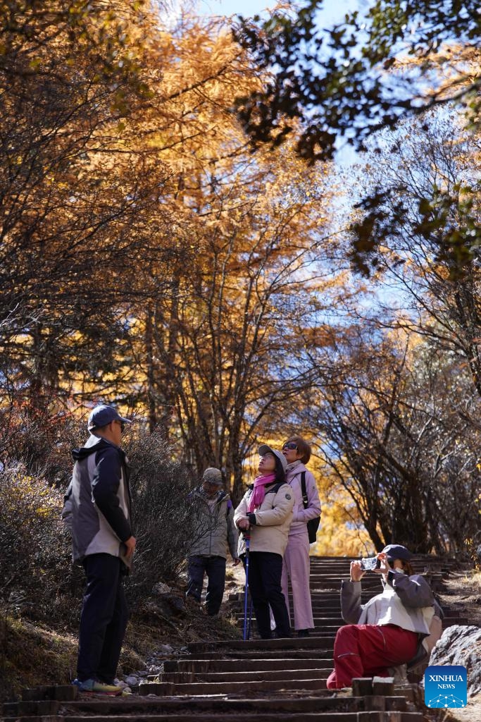 Tourists visit the Yading scenic spot in Daocheng County of Tibetan Autonomous Prefecture of Garze, southwest China's Sichuan Province, Oct. 31, 2024. (Photo: Xinhua)