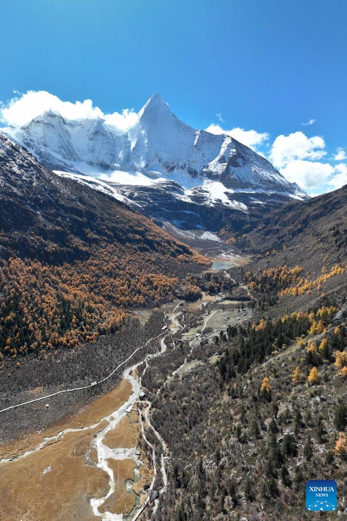 This photo taken on Oct. 31, 2024 shows a snow mountain seen from the Yading scenic spot in Daocheng County of Tibetan Autonomous Prefecture of Garze, southwest China's Sichuan Province. The autumn scenery of the Yading scenic spot in Daocheng County of Tibetan Autonomous Prefecture of Garze is at peak recently, attracting tourists to explore its beauty. (Photo: Xinhua)