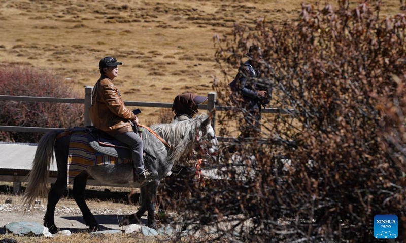 A tourist rides a horse at the Yading scenic spot in Daocheng County of Tibetan Autonomous Prefecture of Garze, southwest China's Sichuan Province, Oct. 31, 2024. (Photo: Xinhua)