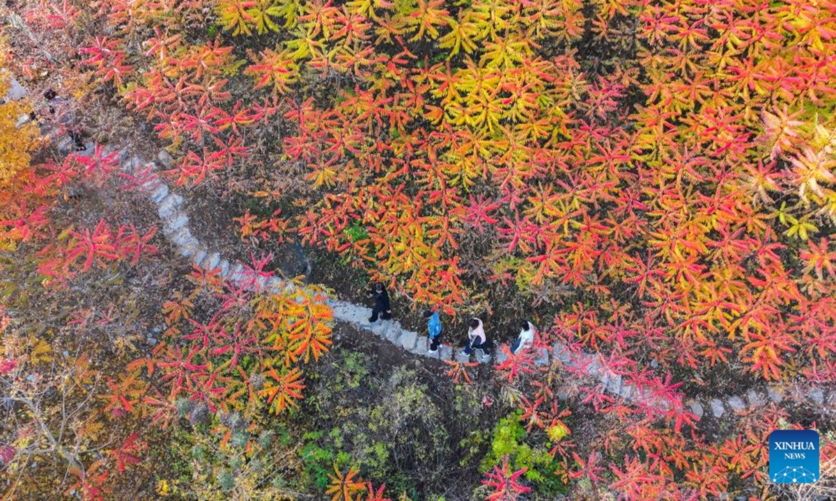 An aerial drone photo taken on Nov. 2, 2024 shows people visiting a scenic area in Zunhua, north China's Hebei Province. (Photo: Xinhua)