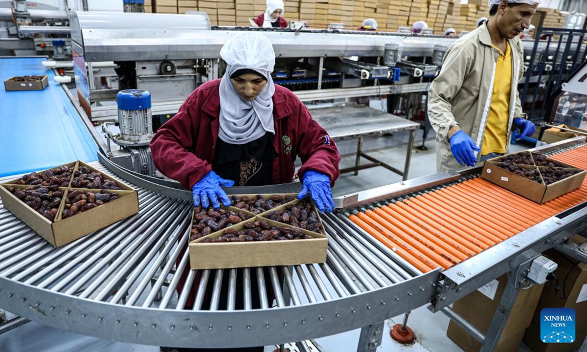 Workers pack dates at a production line of Linah Farms, a leading producer of Medjool dates in Egypt and the Middle East, in Menoufia Governorate, Egypt, Oct. 28, 2024.

As the countdown is ticking for the 7th China International Import Expo (CIIE), participating Egyptian businesses are gearing up, hoping to find opportunities in the expansive Chinese market. (Photo: Xinhua)