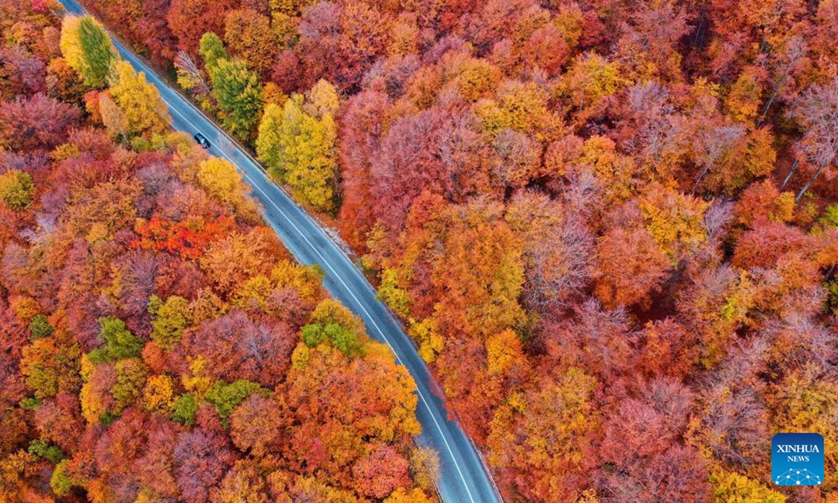 An aerial drone photo shows a car running on a road at Mavrovo National Park in Mavrovo, North Macedonia, Nov. 3, 2024. (Photo: Xinhua)