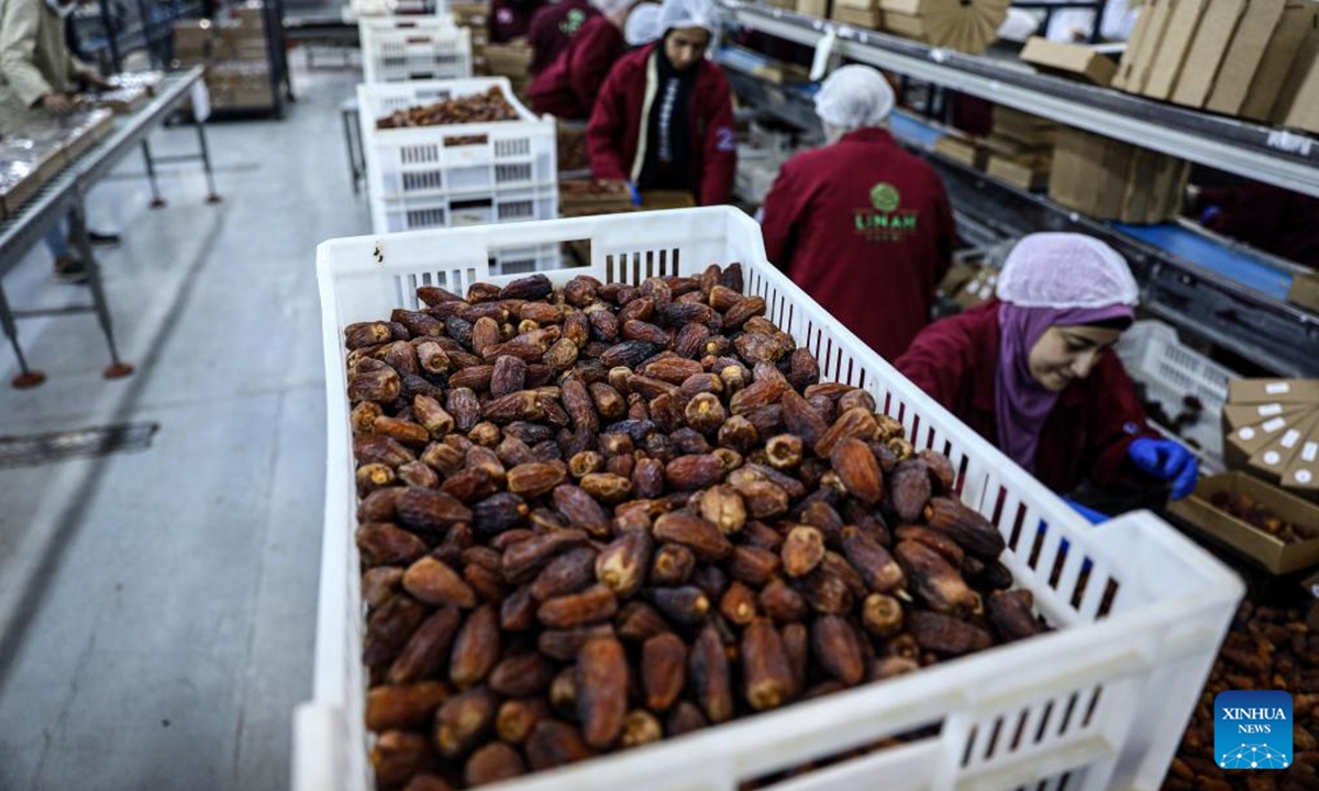 Workers pack dates at a production line of Linah Farms, a leading producer of Medjool dates in Egypt and the Middle East, in Menoufia Governorate, Egypt, Oct. 28, 2024.

As the countdown is ticking for the 7th China International Import Expo (CIIE), participating Egyptian businesses are gearing up, hoping to find opportunities in the expansive Chinese market. (Photo: Xinhua)