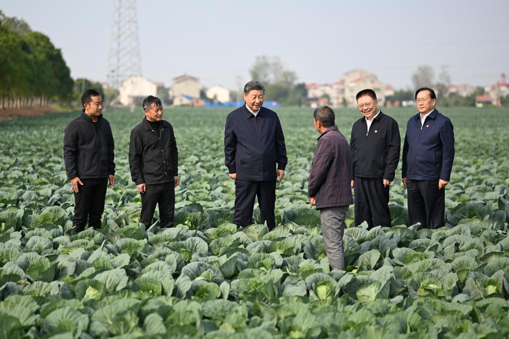 Chinese President Xi Jinping, also general secretary of the Communist Party of China Central Committee and chairman of the Central Military Commission, visits a vegetable farm in Panjiawan Town of Jiayu County in Xianning, central China's Hubei Province. Xi inspected the cities of Xiaogan and Xianning, central China's Hubei Province, from Monday afternoon to Tuesday morning. Photo:Xinhua