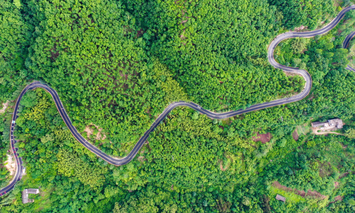 Rural road Photo: VCG 