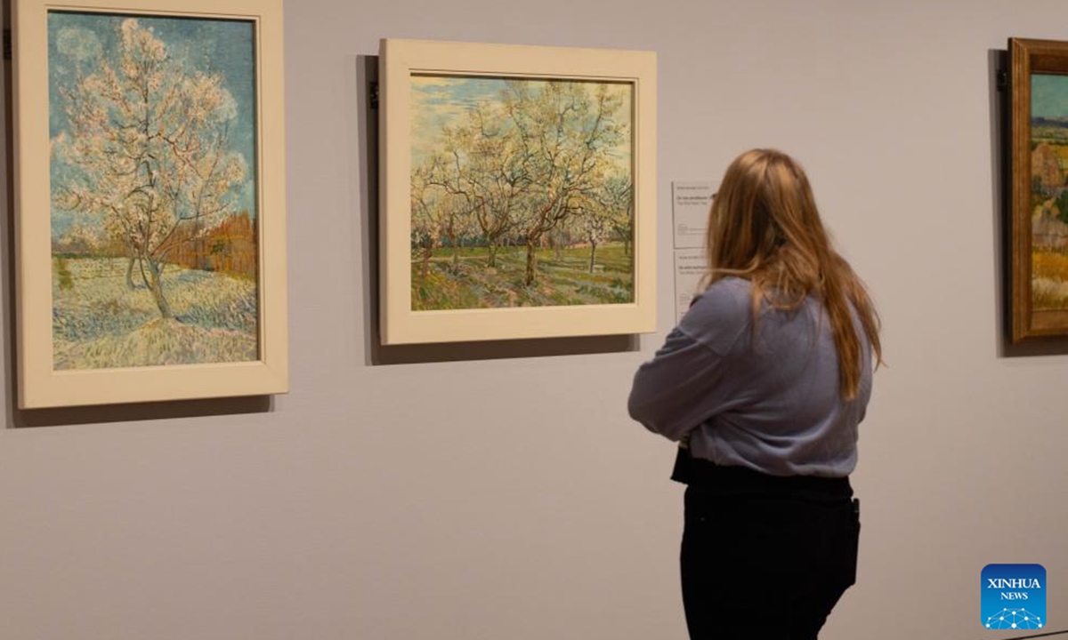 A visitor views an artwork at the Van Gogh Museum during the Museum Night event in Amsterdam, the Netherlands, Nov. 2, 2024. (Photo: Xinhua)