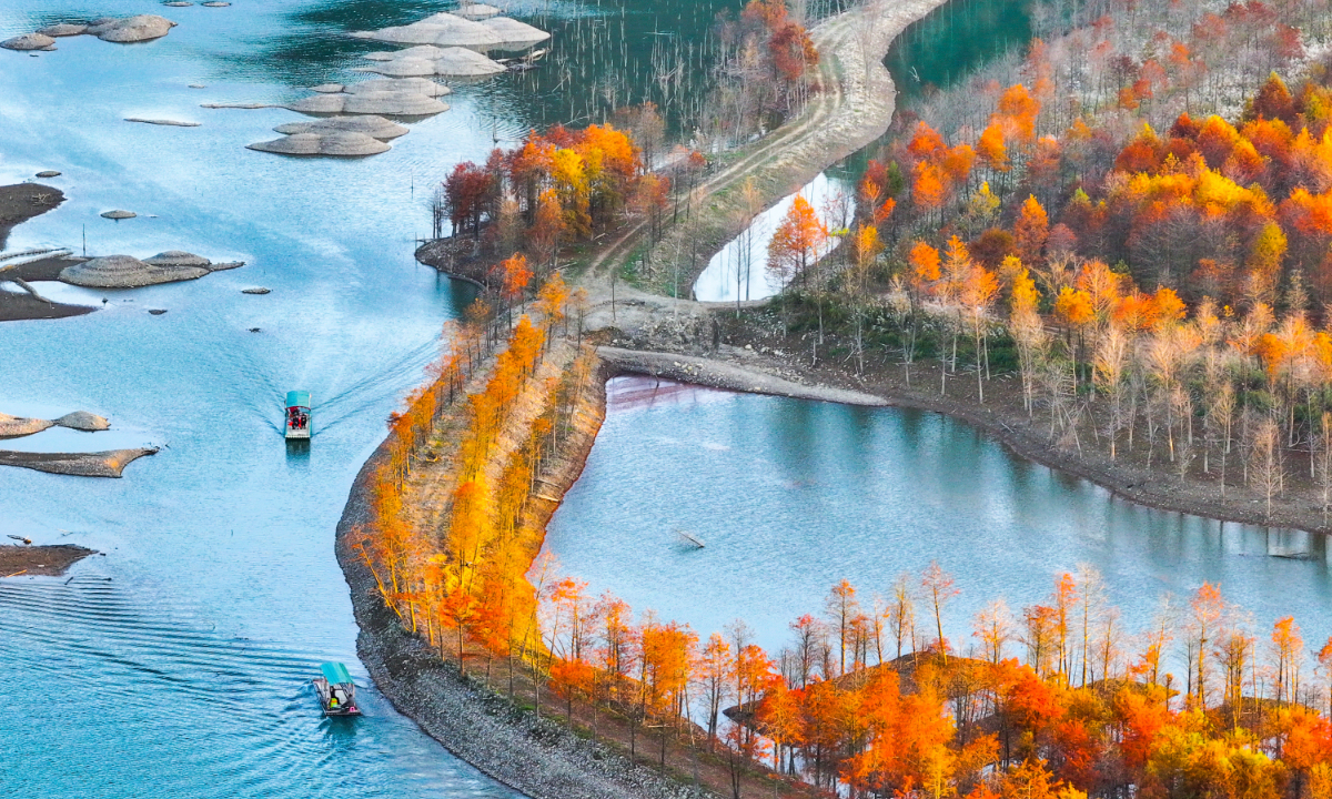 In the Cypress Wetland Park of Ningguo city, East China’s Anhui Province, the blue water and red cypress trees complement each other, creating a beautiful winter ecological scene that attracts numerous visitors on November 27, 2024. Photo: IC