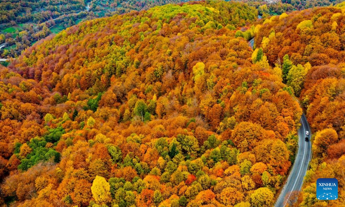 An aerial drone photo shows a car running on a road at Mavrovo National Park in Mavrovo, North Macedonia, Nov. 3, 2024. (Photo: Xinhua)