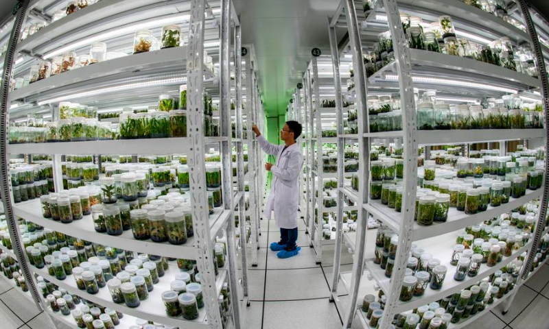 Photo taken on October 20, 2021 shows the vitro storage room at the Germplasm Bank of Wild Species in Kunming, Southwest China's Yunnan Province. Photo: Xinhua
