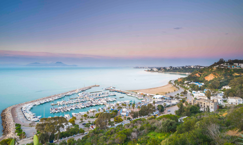 A view of Sidi Bou Said, a seaside town in northern Tunisia File photo: VCG