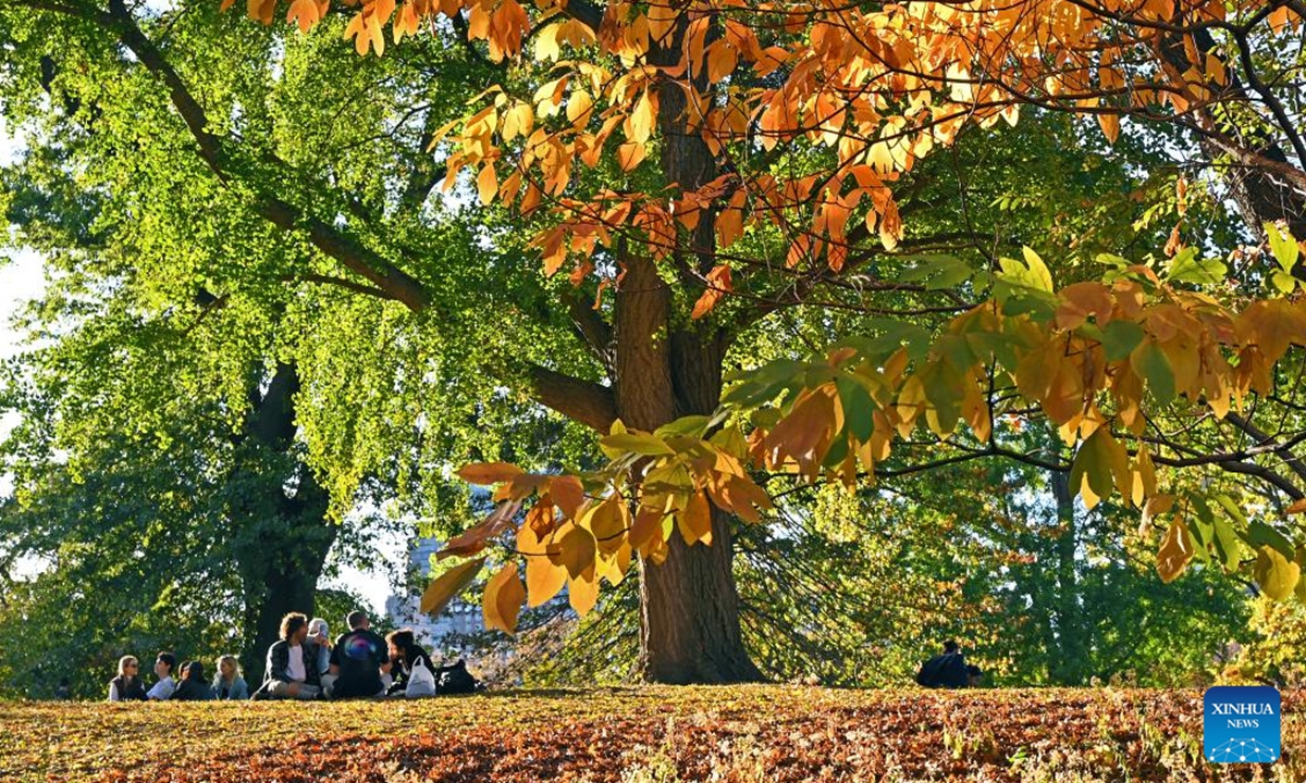 People spend leisure time at Central Park in New York, the United States, on Nov. 2, 2024. (Photo: Xinhua)