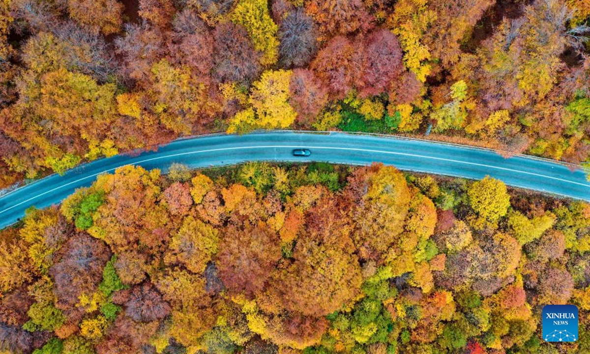 An aerial drone photo shows a car running on a road at Mavrovo National Park in Mavrovo, North Macedonia, Nov. 3, 2024. (Photo: Xinhua)