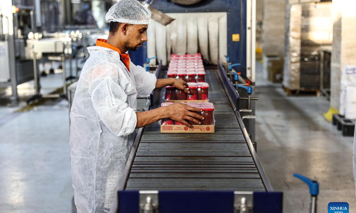 Workers move packed tomato paste at a production line of the Egyptian Swiss Group company in Sharqia Governorate, Egypt, Oct. 27, 2024. (Photo: Xinhua)