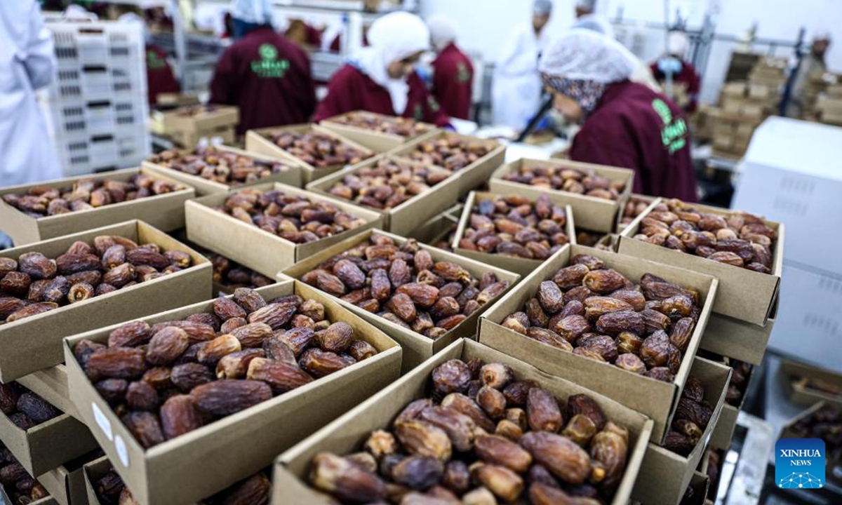 Workers pack dates at a production line of Linah Farms, a leading producer of Medjool dates in Egypt and the Middle East, in Menoufia Governorate, Egypt, Oct. 28, 2024.

As the countdown is ticking for the 7th China International Import Expo (CIIE), participating Egyptian businesses are gearing up, hoping to find opportunities in the expansive Chinese market. (Photo: Xinhua)