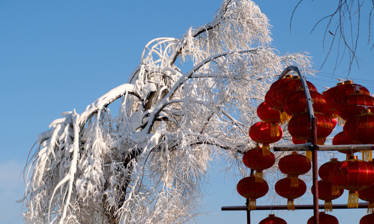 Snow making at Beiling Park in Shenyang, Northeast China’s Liaoning Province creates a display of rime trees on December 5, 2024. Photo: IC