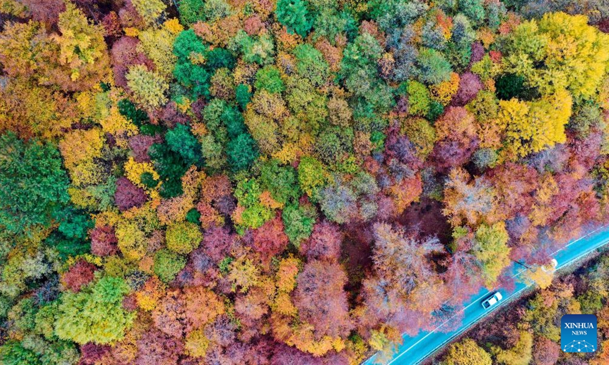 An aerial drone photo shows a car running on a road at Mavrovo National Park in Mavrovo, North Macedonia, Nov. 3, 2024. (Photo: Xinhua)