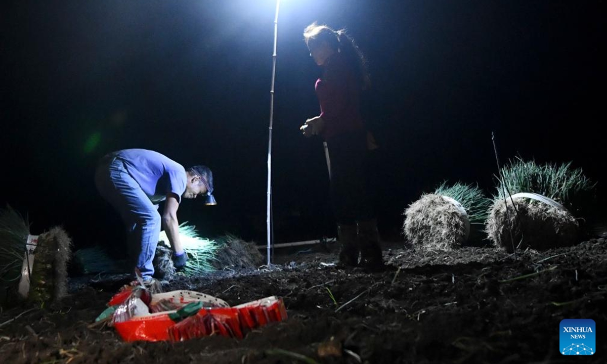 Villagers harvest green onions in Jueshan Village of Liujiang District in Liuzhou City, south China's Guangxi Zhuang Autonomous Region, Oct. 27, 2024.

Jueshan Village has in recent years committed to planting green onions, with a planting area of 8,000 mu (about 533 hectares). More than 1,000 households have been engaged in cultivating green onions, generating an annual output value of 150 million yuan (about 21.13 million U.S. dollars). (Photo: Xinhua)