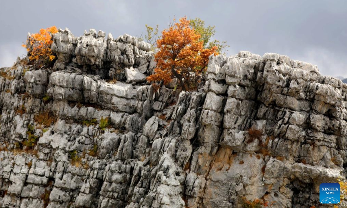 This photo shows the autumn scenery in the village of Ehmej in Mount Lebanon, Lebanon, on Nov. 3, 2024. (Photo: Xinhua)