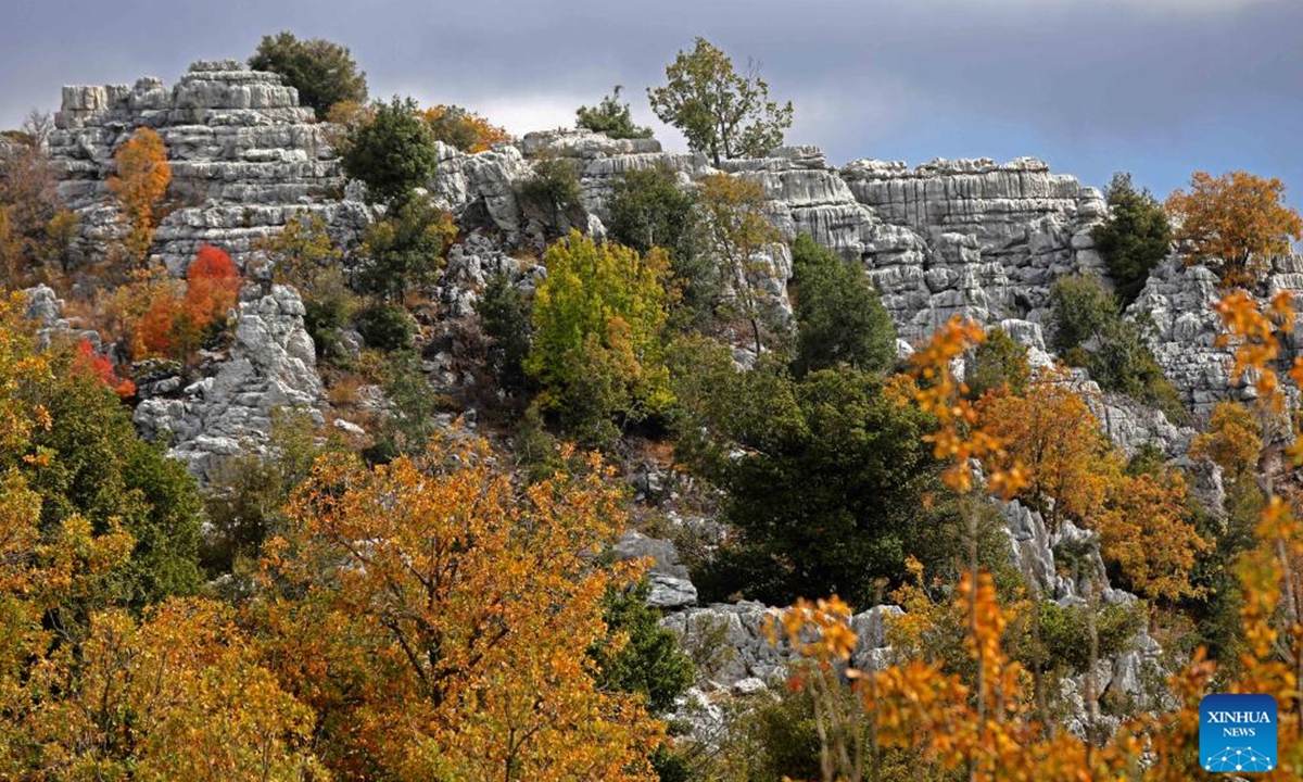 This photo shows the autumn scenery in the village of Ehmej in Mount Lebanon, Lebanon, on Nov. 3, 2024. (Photo: Xinhua)