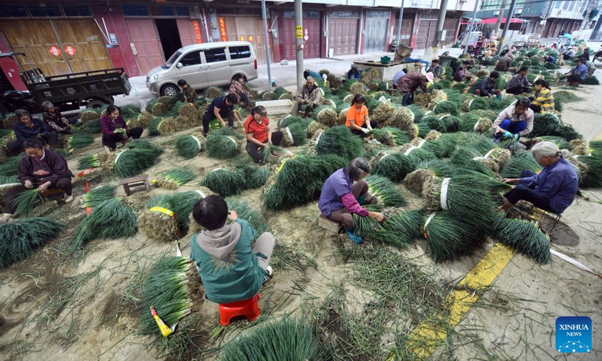 Villagers sort green onions in Jueshan Village of Liujiang District in Liuzhou City, south China's Guangxi Zhuang Autonomous Region, Oct. 27, 2024.

Jueshan Village has in recent years committed to planting green onions, with a planting area of 8,000 mu (about 533 hectares). More than 1,000 households have been engaged in cultivating green onions, generating an annual output value of 150 million yuan (about 21.13 million U.S. dollars). (Photo: Xinhua)