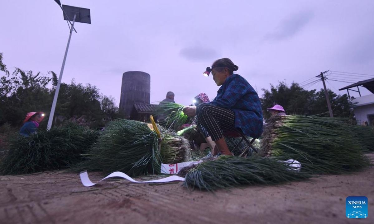 Villagers sort green onions in Jueshan Village of Liujiang District in Liuzhou City, south China's Guangxi Zhuang Autonomous Region, Oct. 27, 2024.

Jueshan Village has in recent years committed to planting green onions, with a planting area of 8,000 mu (about 533 hectares). More than 1,000 households have been engaged in cultivating green onions, generating an annual output value of 150 million yuan (about 21.13 million U.S. dollars). (Photo: Xinhua)