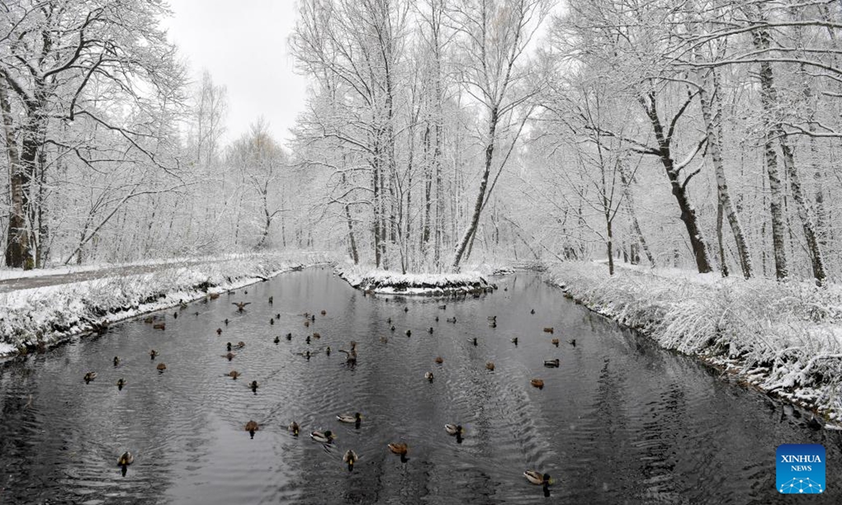 People walk in a snow-covered park in Moscow, Russia, Nov. 4, 2024. (Photo: Xinhua)