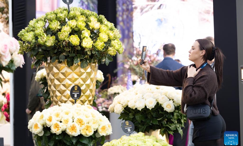 A visitor takes a picture of flowers at the 2024 International Floriculture Trade Fair (IFTF) in Vijfhuizen, the Netherlands, on Nov. 5, 2024. The IFTF is an annual event in the Netherlands that brings together horticultural professionals, flower lovers and industry experts from around the world. (Photo: Xinhua)