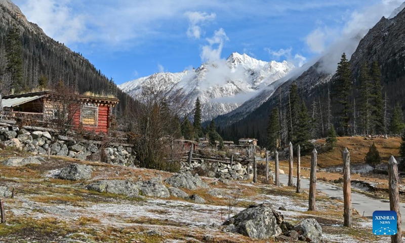 This photo taken on Nov. 4, 2024 shows the scenery of Duopugou scenic spot in Dege County of Garze Tibetan Autonomous Prefecture, southwest China's Sichuan Province. The Duopugou scenic spot boasts a picturesque scenery and abundant reserve of animals and plants. (Photo: Xinhua)