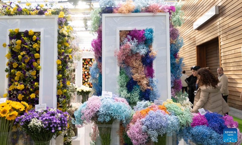 People visit the 2024 International Floriculture Trade Fair (IFTF) in Vijfhuizen, the Netherlands, on Nov. 5, 2024. The IFTF is an annual event in the Netherlands that brings together horticultural professionals, flower lovers and industry experts from around the world. (Photo: Xinhua)