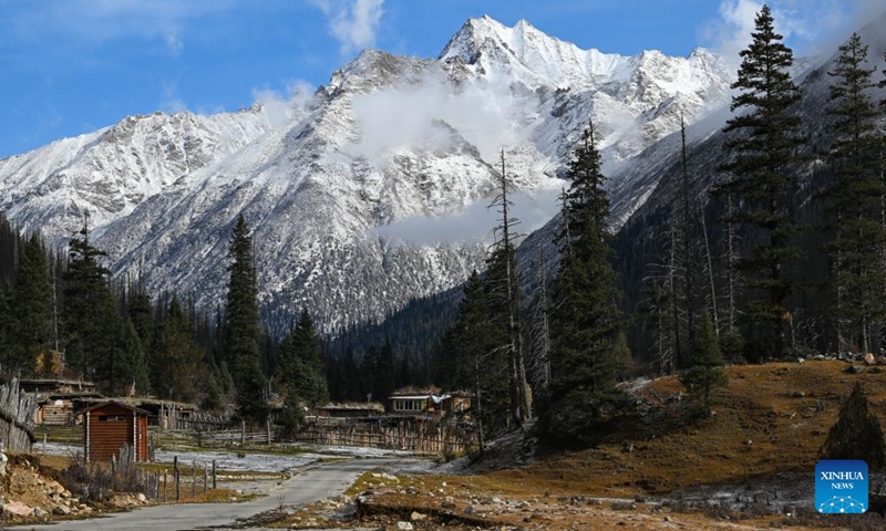 This photo taken on Nov. 4, 2024 shows the scenery of Duopugou scenic spot in Dege County of Garze Tibetan Autonomous Prefecture, southwest China's Sichuan Province. The Duopugou scenic spot boasts a picturesque scenery and abundant reserve of animals and plants. (Photo: Xinhua)