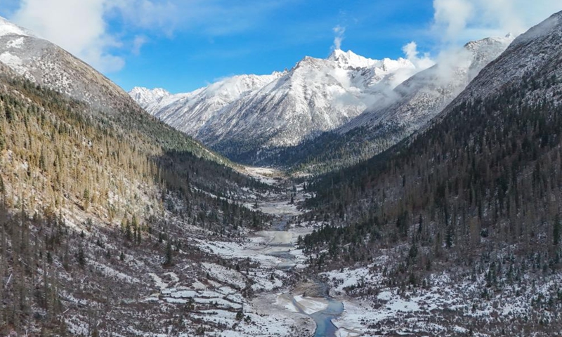 An aerial drone photo taken on Nov. 4, 2024 shows the scenery of Duopugou scenic spot in Dege County of Garze Tibetan Autonomous Prefecture, southwest China's Sichuan Province. The Duopugou scenic spot boasts a picturesque scenery and abundant reserve of animals and plants. (Photo: Xinhua)