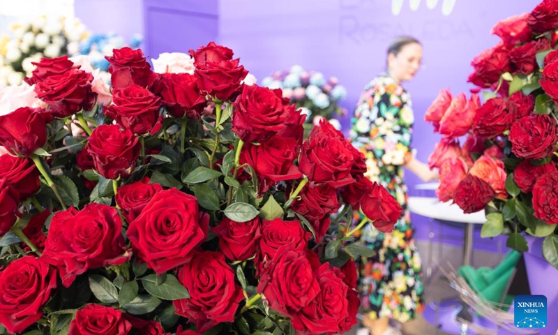 Flowers are on display at the 2024 International Floriculture Trade Fair (IFTF) in Vijfhuizen, the Netherlands, on Nov. 5, 2024. The IFTF is an annual event in the Netherlands that brings together horticultural professionals, flower lovers and industry experts from around the world. (Photo: Xinhua)